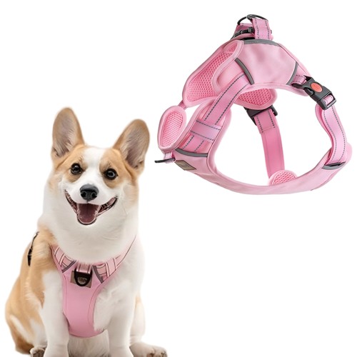 Pull dog cat pet harness - dog/cat,