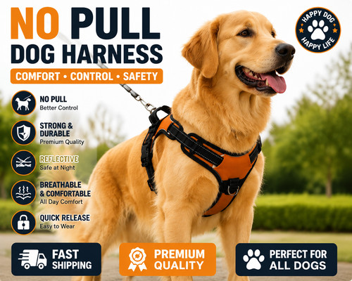 Pull dog pet harness - no,