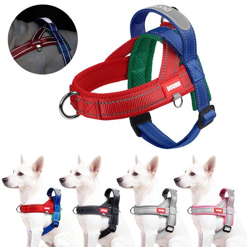 Adjustable pull dog - no, pet