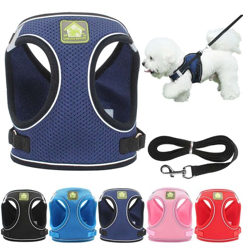 Adjustable control pull - no, dog