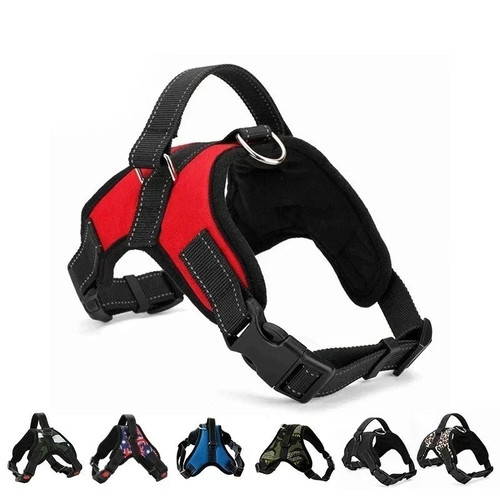 Pull dog pet - pull,