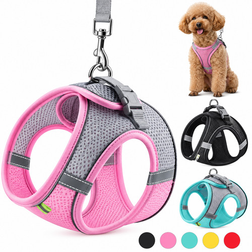 Pull dog pet - no,