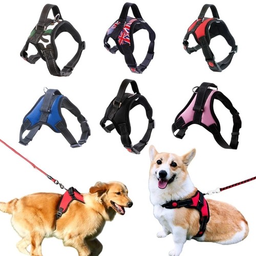 Pull dog pet harness - no,