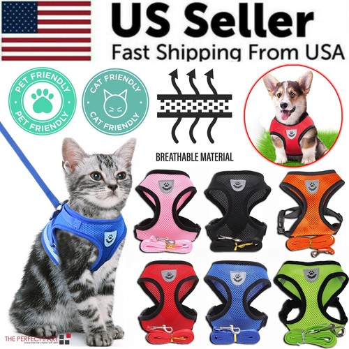 Cat dog pet - dog, adjustable